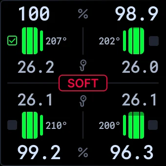 The Tyres Adaptive Display Zone on the dash